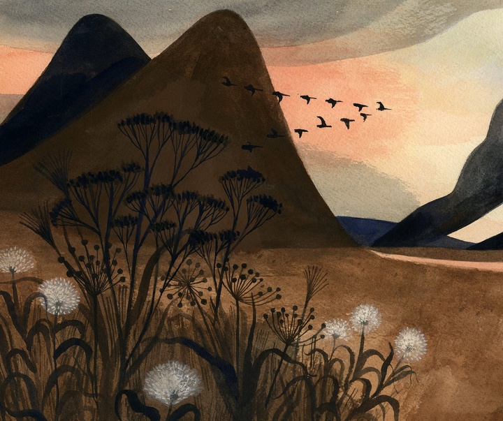 Gallery of Illustration by Carson Ellis - USA