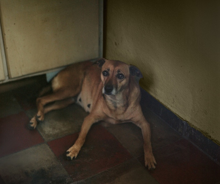 Gallery of Photography by laura pannack - UK