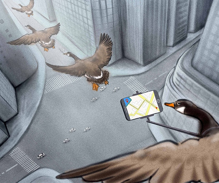 Gallery of the best Cartoon in the world 56
