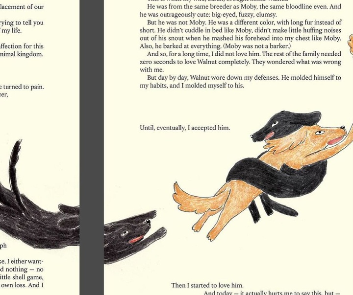 Gallery of Illustration by Gaia Alari (Animator) - Italy