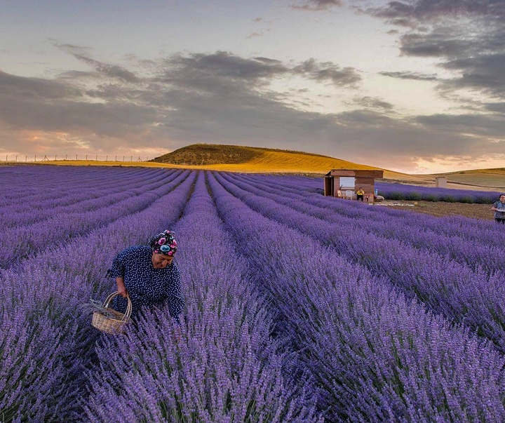 Gallery of Photos by Aygul Ozturk-Turkey