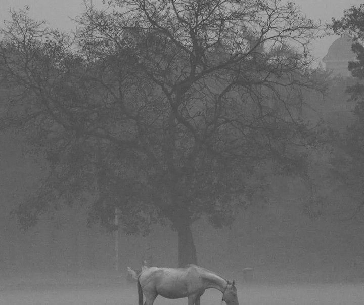 Gallery of photography by Tanay Sahoo-India