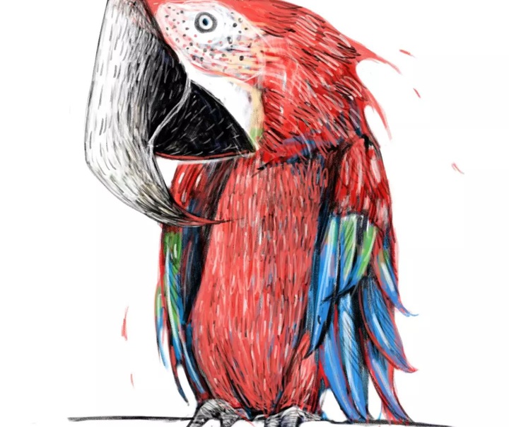 Gallery of Illustration by Rahele HasanZade-Iran