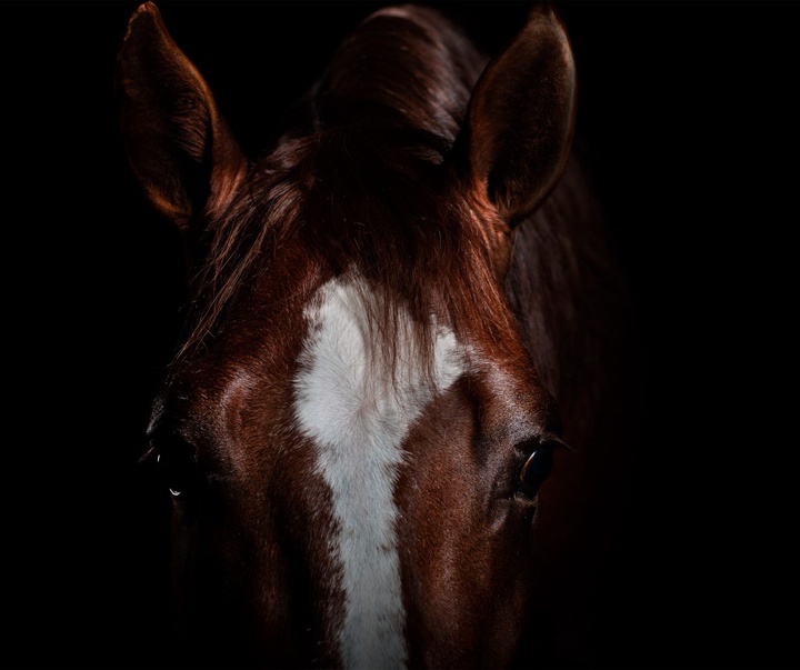 Gallery of Photography by Constance Jaeggi - Switzerland