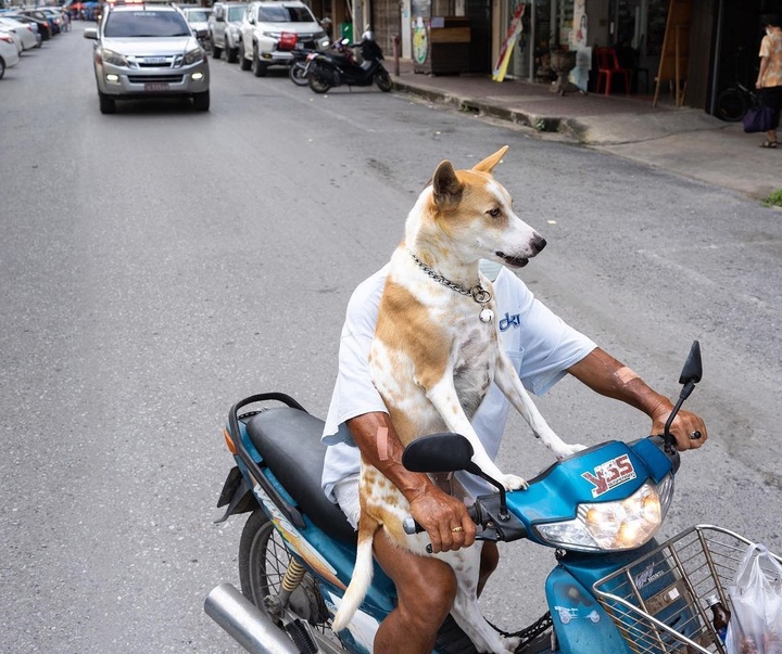 Gallery of Photography by Tavepong Pratoomwong - Thailand