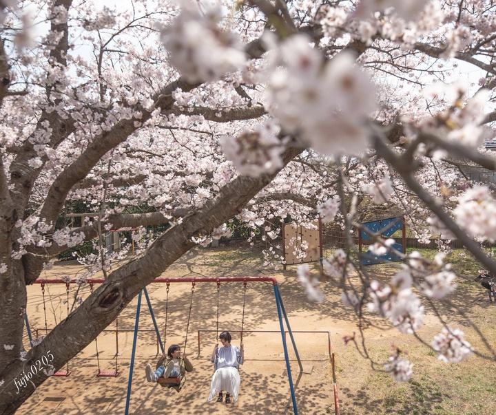 Gallery of Photography by Fujio Kamimura - Japan