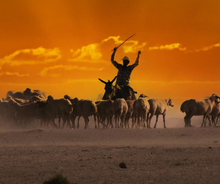 Gallery of photography by Mustafa Shahbaz - Turkey