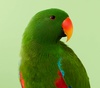 Gallery of Photography by Danny Eastwood - Australia