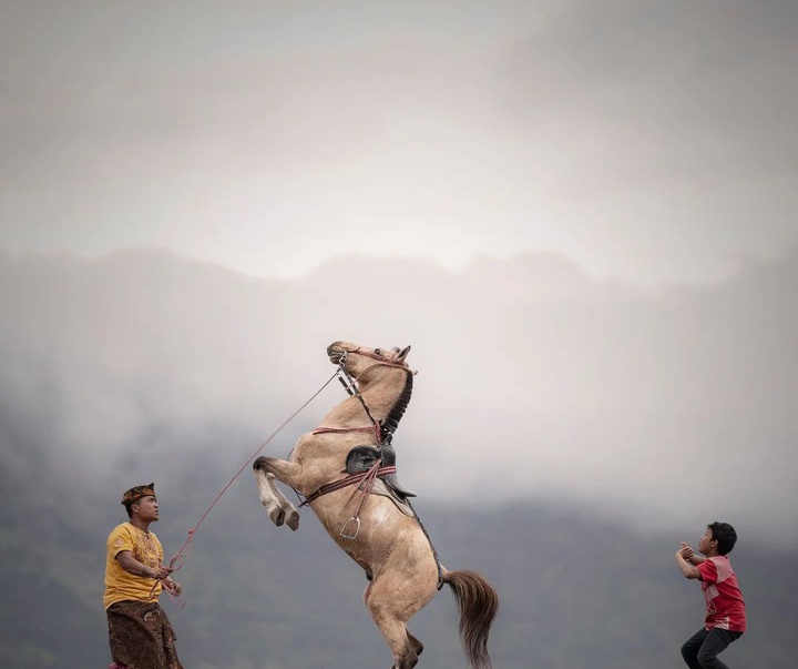 Gallery of photography by Octav Andy-Indonesia