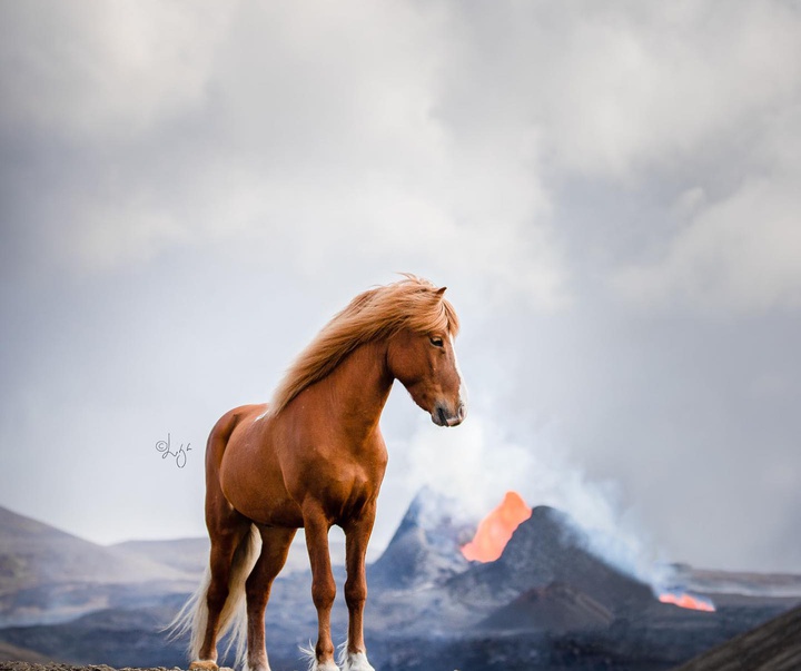 Gallery of photography by Liga Liepina - Iceland