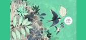 Gallery of Illustration by Isabelle Arsenault - Canada