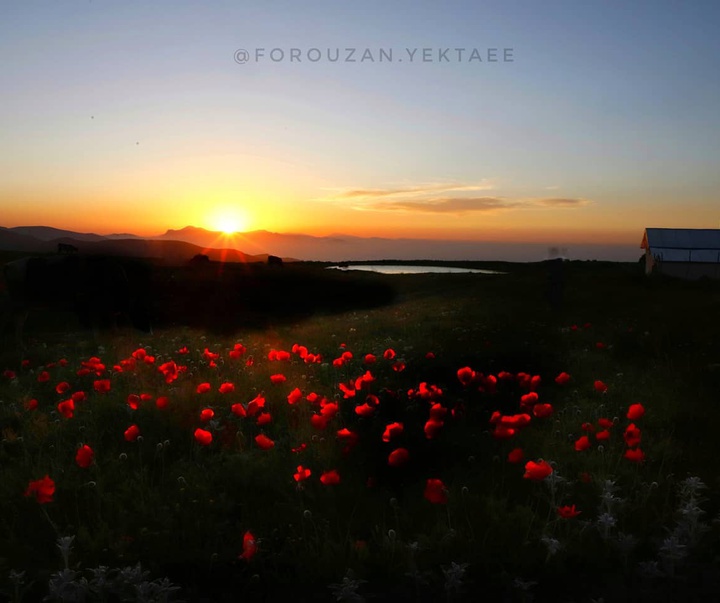 Gallery of Photography by Forouzan Yektaee-Iran