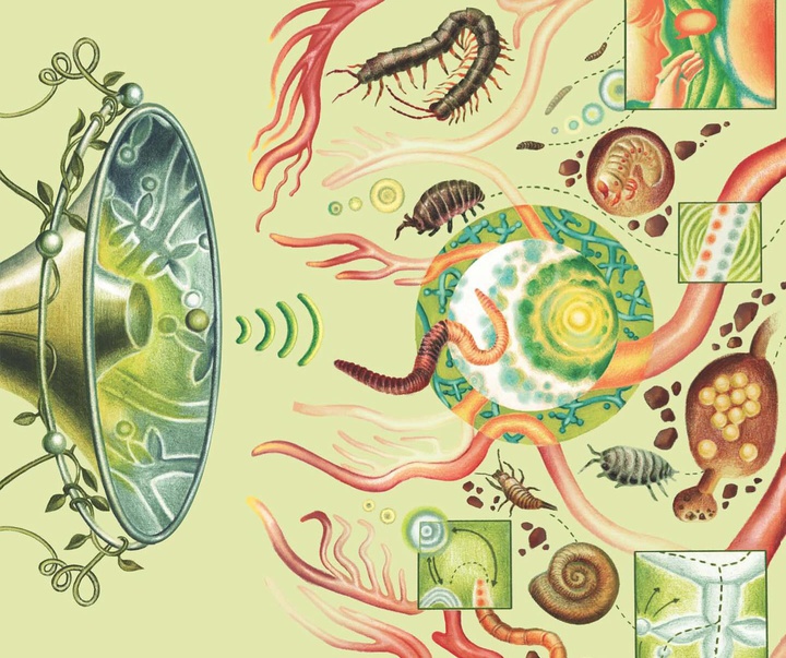 Gallery of Illustration by Ada Zejun Shen - USA