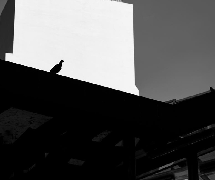 Gallery of Photography by Jason Au - Hong Kong