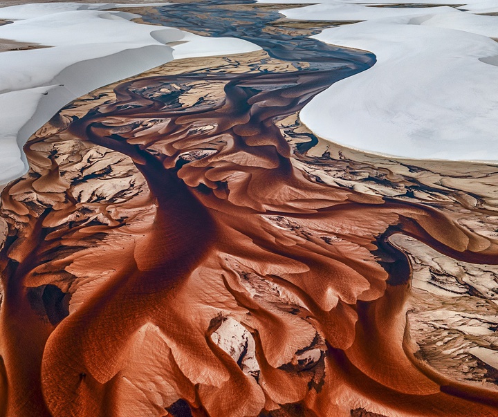 Gallery of Photography by Paul Nicklen - Canada