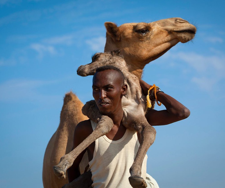 Gallery of Photography by Eric Lafforgue - France
