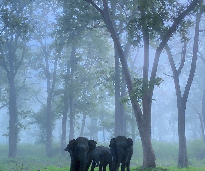 Gallery of Photography by Mithun Hunugund