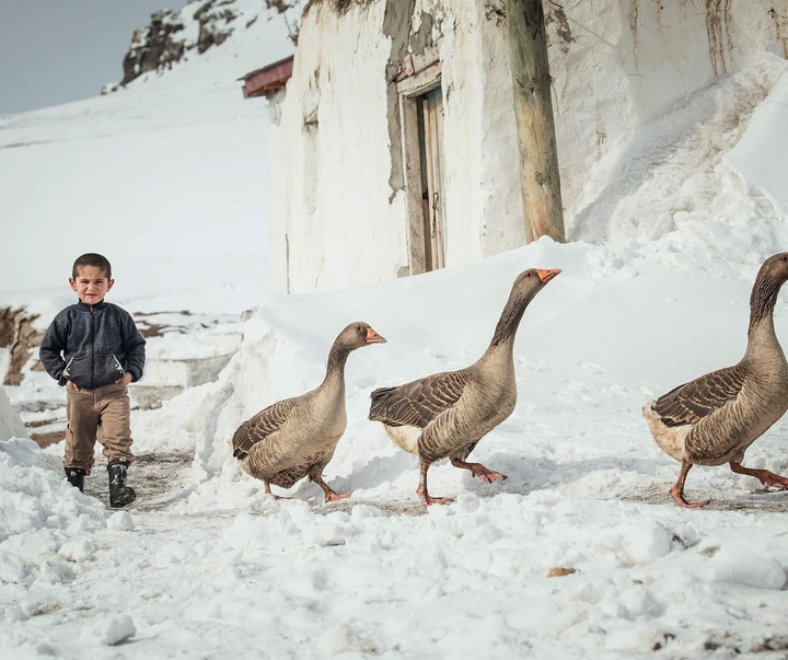 Gallery of Photos by Aygul Ozturk-Turkey