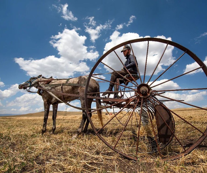 Gallery of photography by Niyazi Gurgen-Turkey