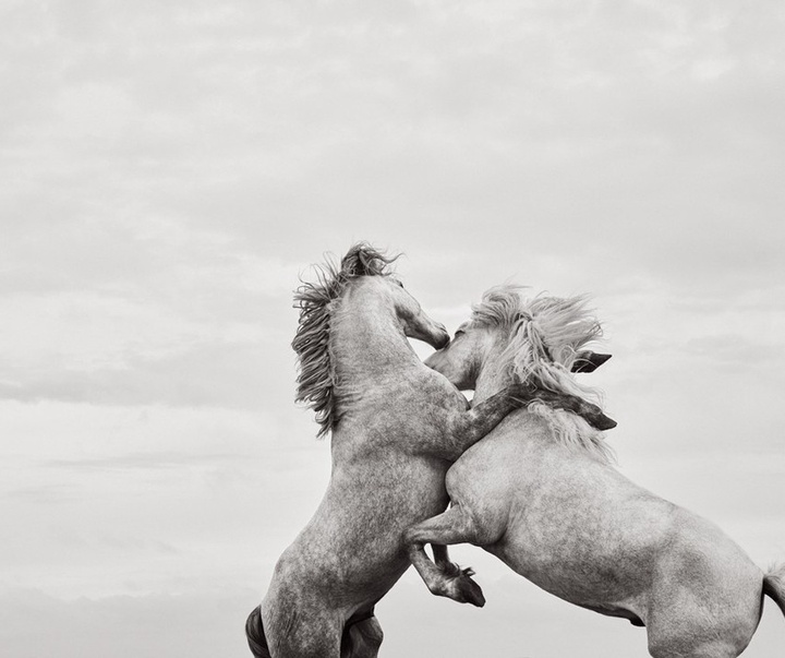 Gallery of Photography by Drew Doggett - USA