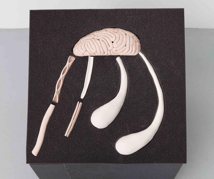 Gallery of Modern Art by Mayana Redin - Brazil