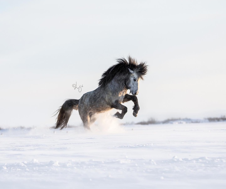 Gallery of photography by Liga Liepina - Iceland