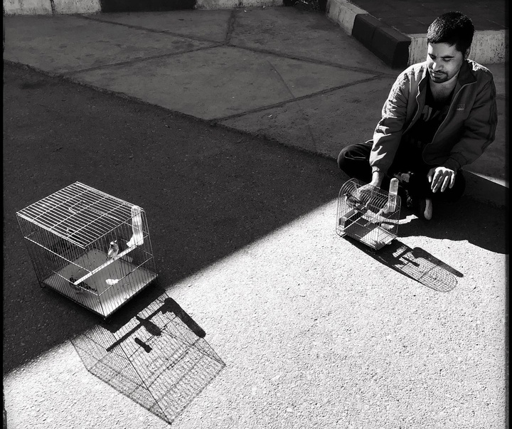 Gallery of photography by Ehsan Hemmati-Iran