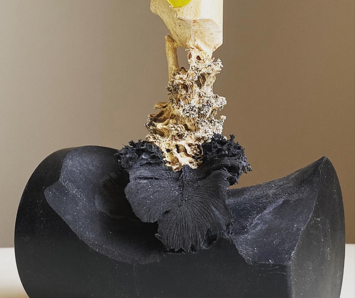 Maskull Lasserre