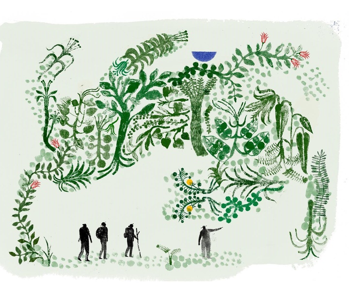 Gallery of Illustrations by amanda mijangos - Mexico
