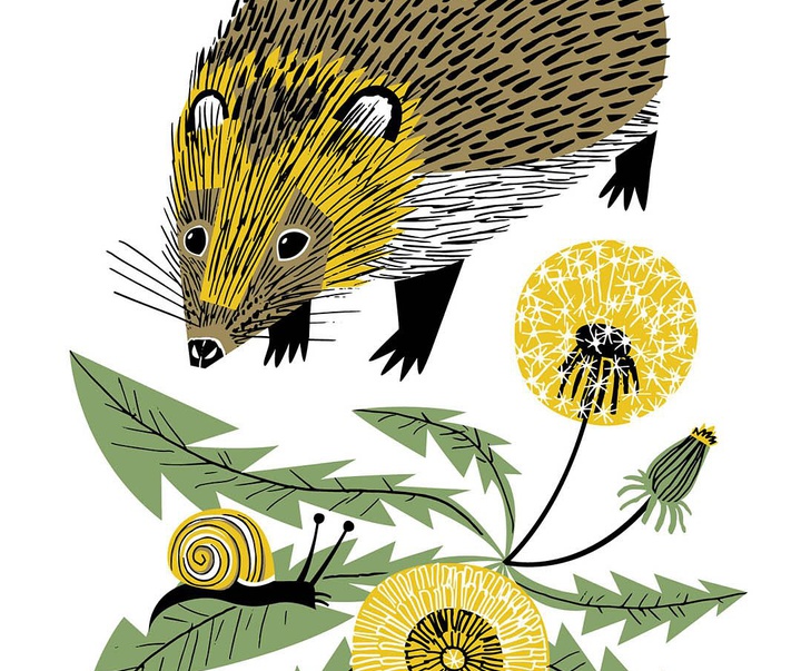 Gallery of Illustration by Matt Johnson - UK