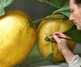 Gallery of painting - Hyper realism