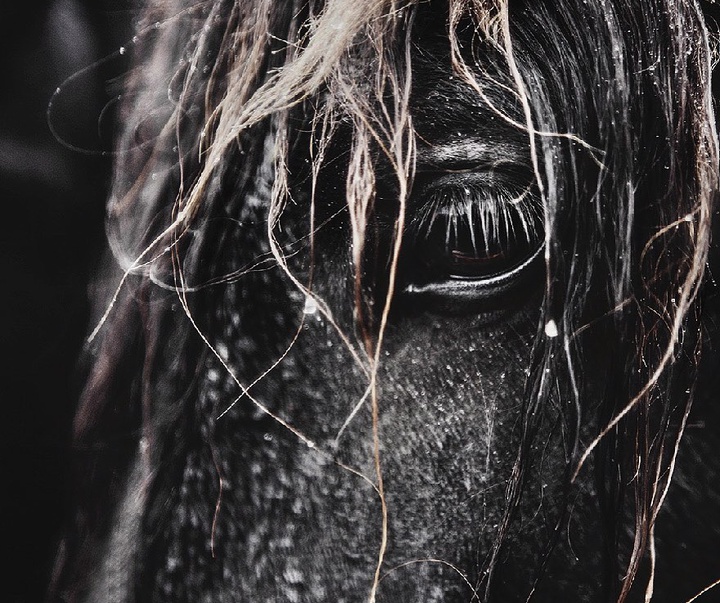 Gallery of Photography by Gigja Einars - Iceland
