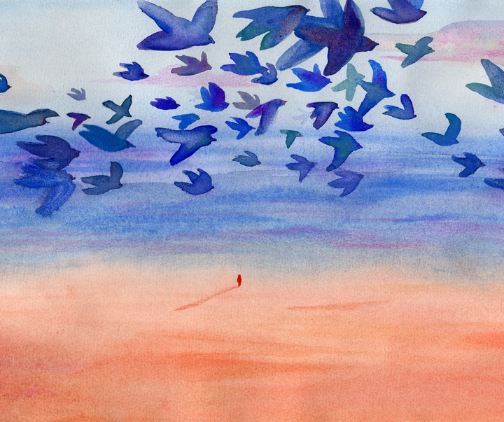 Gallery of Illustration by Lucie Roullier