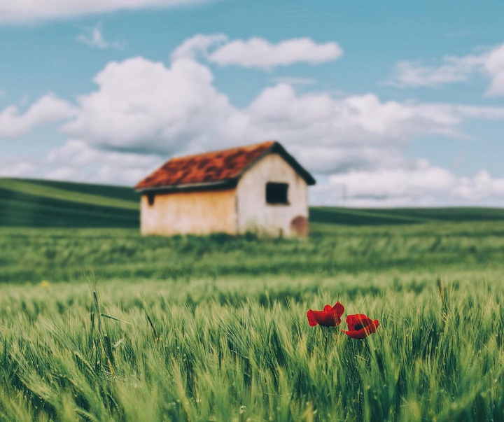 Gallery of Photography by Ahmet Erdem - Turkey