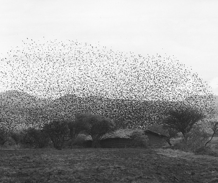 Gallery of Photography by Flor Garduño - Mexico