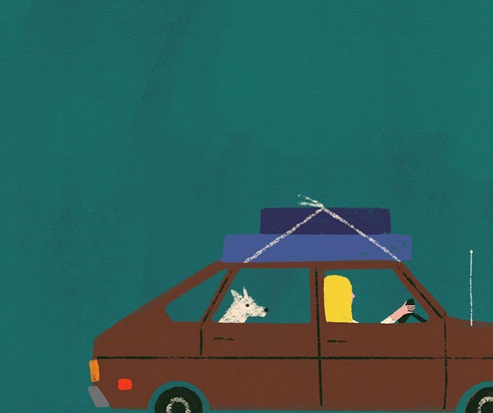 Gallery of Illustration by Anne Bentley - USA