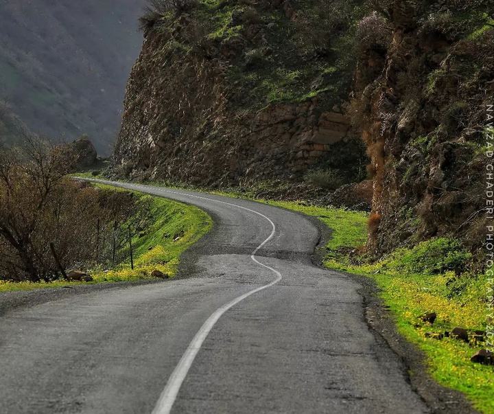 Gallery of photography by Nawzad Ghaderi - Iran