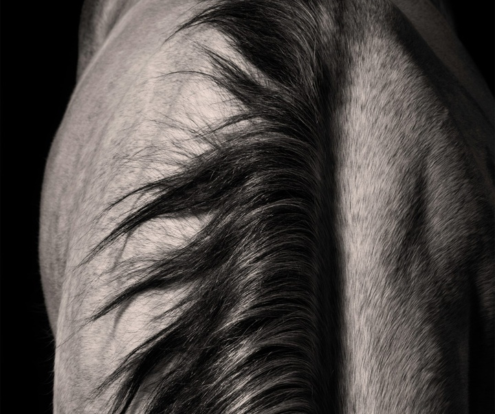 Gallery of Photography by Constance Jaeggi - Switzerland