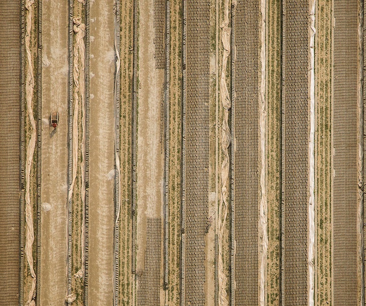 Gallery of Photography by Shamim Shorif Susom - Bangladesh
