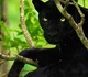 Gallery of Photography by Mithun Hunugund