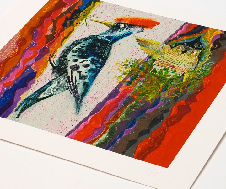 Gallery of Illustration by Brian Wildsmith - UK