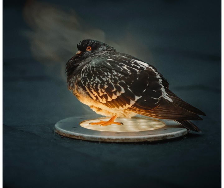 Gallery of Photography by Chris Panas - Poland