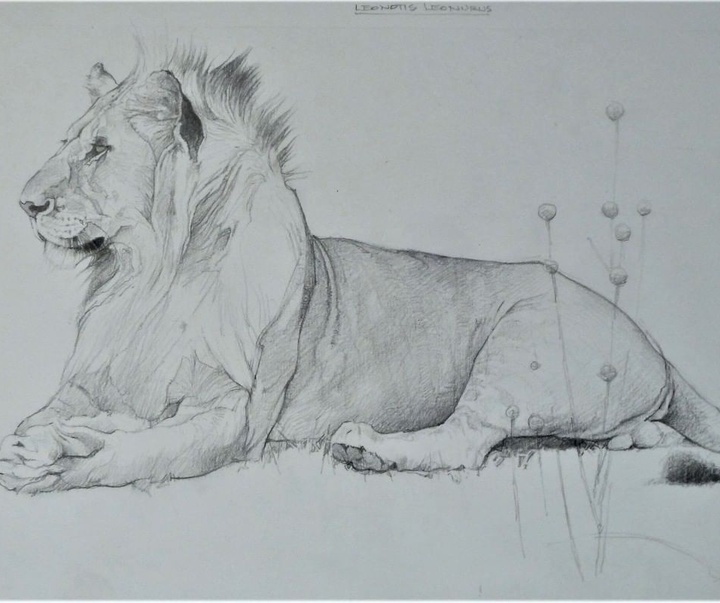 Gallery of Drawing by John Perry Baumlin- American
