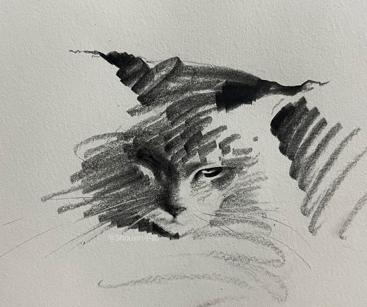 Gallery of Drawing by Shou Xin - China