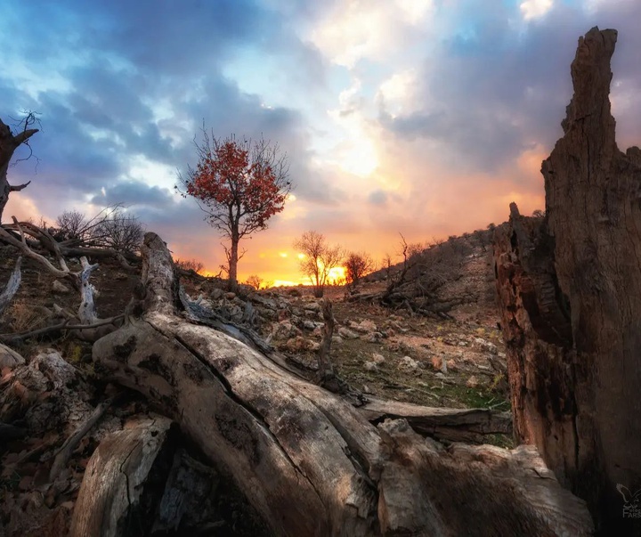 Gallery of photography by Farshad Sorkhi-Iran