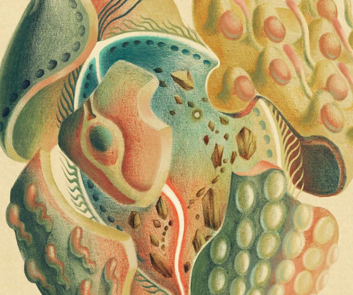 Gallery of Illustration by Ada Zejun Shen - USA