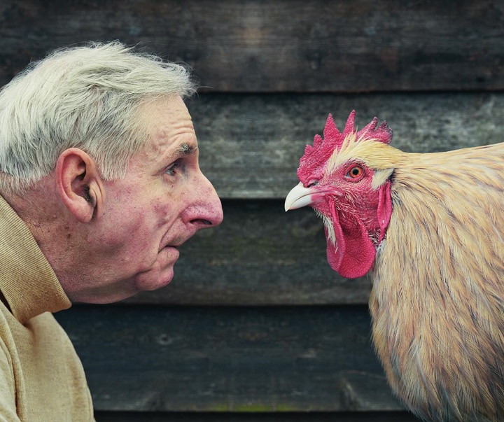 Gallery of Photography by david stewart