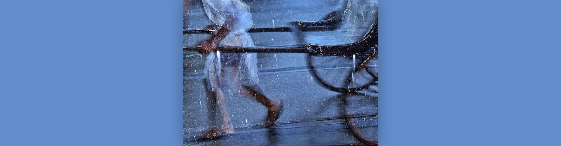 Gallery of Photography by Pranay Pariyar - India
