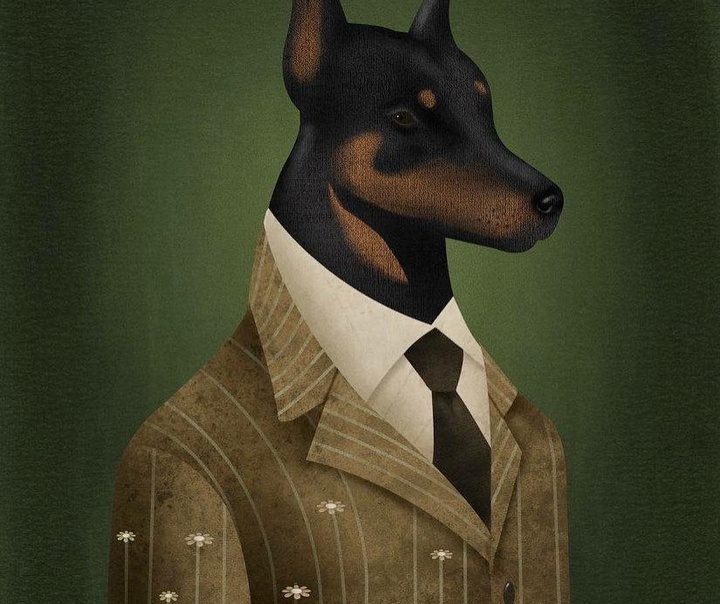 Vlad Alvarez