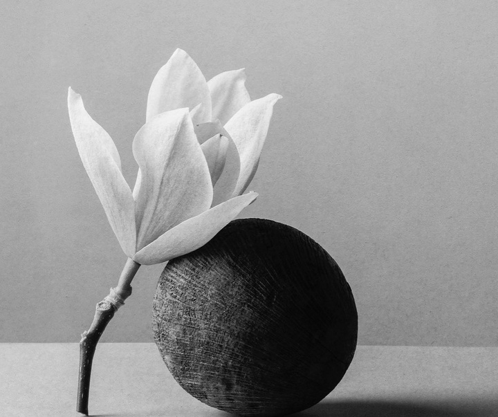 Gallery of Photography by Jonas Bjerre-Poulsen - Denmark